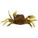 3Pcs 3D Simulation Crab Soft Lures with Sharp Double Hooks for Sea Fishing - Style3 - Buy Online on SooperMarket.com