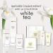 Elizabeth Arden White Tea Mandarin Blossom Body Cream 400ml | Nourishing Fruity Floral Lotion for Women - Buy Online on SooperMarket.com