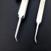 Buy LongyiTrade Professional Stainless Steel Curved Acne Tweezers | Best Blackhead & Pimple Tool for Clear Skin International Shipping Available - Buy Online on SooperMarket.com