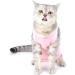 Ranphy Cat Recovery Suit for Abdominal Wounds or Skin Diseases Soft Cotton Surgical Recovery Shirt Breathable E-Collar Alternative After Surgery Home Indoor Anti Licking Clothes Pink M M(Chest:34cm Back:25cm Neck:24cm) pink - Buy Online on SooperMarket.com