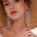 Missgrace Dainty Rhinestones Simple Tassel Long Earrings Set Earrings Layered Dangle Hoop Stud Silver Statement Earrings for Women and Girls (Pattern 5)
