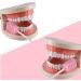 100 Pcs Disposable Mouth Swabs Sponge - Unflavored & Sterile Oral Care Swabs - Pink Tooth Shape - Buy Online on SooperMarket.com