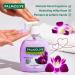 Palmolive Natural Liquid Hand Wash Black Orchid & milk 250ml - Buy Online on SooperMarket.com