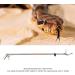 Foldable Self Lockable Stainless Steel Reptile Grabber Snake Tong Snake Catcher Stick Rattlesnake Catcher Grabber Pick-up Handling Tool Snake Tong Foldable Reptile Grabber Catcher Handling Too - Buy Online on SooperMarket.com