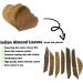 BettaLeaf Comfort Zone for Fish Indian Almond Leaves Slice in Pieces Leaf Ready to use 45 Grams Pack (80 100 Pieces) | Best Gold Brown Quality | Fish Tank for Betta Fish Shrimp Crayfish for Healthy - Buy Online on SooperMarket.com