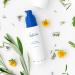 Kosterina Extra Virgin Daily Face Moisturizer | Hydrating & Soothing Natural Cream with Antioxidants Olive Oil & Squalene | 1.7 oz (50ml) - Shop Internationally - Buy Online on SooperMarket.com