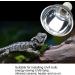 Hisunfarm Reptile Pet Heat Lamp Holder with Clip | 300 Watt UVA/UVB Bulb Guard for Lizard, Turtle, Snake, Spider & Chick - Buy Online on SooperMarket.com