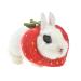 Fladorepet rabbit protection cone for operations Elizabeth neck recreational neck for small animals Hasentoast avocado costume (small (1 piece) strawberry) Small (pack of 1) strawberry