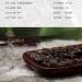 Pu-erh tea 2016 Shunhai Ba Wai Cake Tea 357g Raw - Buy Online on SooperMarket.com