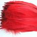 100pcs Red Goose Feathers 6-8 Inch - Ideal for Crafts, Wedding Decor, Clothing Accessories - Buy Online on SooperMarket.com
