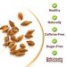 Buy PlantGift Barley Tea 200G - Caffeine Free Sugar Free Digestive Support & Fat Burning Mugicha - Buy Online on SooperMarket.com