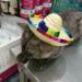 1 PCS Pet Straw Hat Funny Mini Mexican Hats Mexican Sombrero Cap Dog Sombrero Hat for Fiesta Carnival Mexican Theme Party Decorations Dogs Cats Party Favors - Buy Online on SooperMarket.com
