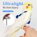 Newsmy Bird Harness Adjustable Feather Tether Parrot Harness Leash Outdoor Training Carrier for Budgerigar Lovebird Cockatiel Mynah Cockatoo Parakeet Macaw (Blue S) - Buy Online on SooperMarket.com