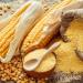 Bodrum Coarse Polenta Bramata 500 Gram - Buy Online on SooperMarket.com