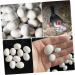 Yardwe 12pcs Fake Eggs Minieggs Household Egg Props Mini Egg Graffiti Plastic Eggs Fake Bird Eggs Parrot 1.6x1.2cm White - Buy Online on SooperMarket.com