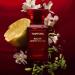 Tom Ford Jasmin Rouge 3.4 Oz./ 100 Ml. New In Sealed Box. 3.4 Fl Oz (Pack of 1) - Buy Online on SooperMarket.com