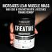 Creatine Monohydrate Powder - Creatine Supplement for Muscle Growth Increased Strength Enhanced Energy Output and Improved Athletic Performance by Jacked Factory - 85 Servings Peach Mango Peach Mango 85 Servings (Pack of 1) - Buy Online on SooperMarket.com