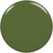 Eddie Nail Polish | Vegan Salon-Quality Green Polish | Fall 2024 Patch It Up | International Shipping - Buy Online on SooperMarket.com