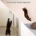 CZPET Cat Toys Set - Interactive Kitten Exercise Toys with Replaceable Door, Cat Teaser Stick, Puzzle Toys, Catnip Feather, and Mouse Toys - 9PCS - Buy Online on SooperMarket.com