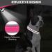 Joytale Softly Padded Neoprene Dog Collar for Medium Dogs - Reflective Wide Nylon Collar in Bright Pink (1 Pack) - International Shipping Available - Buy Online on SooperMarket.com