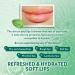 Vaseline Lip Therapy Mint with Backer Card - Hydrating Lip Balm - Buy Online on SooperMarket.com