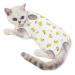 NashaFeiLi Professional Cat Recovery Suit for Abdominal Wounds and Skin Diseases E-Collar Alternative for Cats Dogs (Banana L) Banana L--Back length 35cm - Buy Online on SooperMarket.com