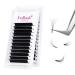 Fadlash Easy Fan Lashes D Curl 0.03 11mm Single Lashes Russian Lashes Natural Look Self Fanning Eye Lashes Automatic Blooming Russian Eyelashes Extensions(0.03-D-11) 11 mm 0.03-D