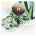 Nail Art Bowl Set - Crystal Glass with Stainless Steel Lid | 2pcs Nail Art Liquid Container & Tools for Perfect Nails - Buy Online on SooperMarket.com