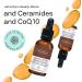 facetheory Lipade Q10 Oil Booster Serum S6 - Ceramide Barrier Serum Oil-booster Serum With Marula Added COQ10 and Ceramides Vegan and Cruelty-Free Made in the UK | 30 ml - Buy Online on SooperMarket.com