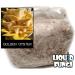 Golden Oyster Mushroom Grain Spawn - 1 lb. Freshly Made & Ready to Use - Buy Online on SooperMarket.com