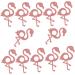 PRETYZOOM Candy Packaging 48 Pcs Lollipop Paper Package Lollipop Decorations Lollipop Decorate Cards Lollipop Stand Lollipop Holder Lollipop Craft Amazoncards Glitter Powder Hawaii Pink - Buy Online on SooperMarket.com