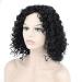 BGHJUE Short Curly Wig - Brazilian Lace Front Human Hair Wig with Baby Hair 35cm Black - International Shipping - Buy Online on SooperMarket.com