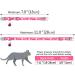Tagme Personalized Cat Collar - Adjustable Safety Neck Band for Cats (2-Pack) - Pink - Custom Name & Phone Number Fits 18-28 cm - Buy Online on SooperMarket.com
