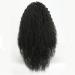SHIYID Long Curly Hair Wig - High Temperature Synthetic Wigs for African American Women | Natural Black Hairstyle - Buy Online on SooperMarket.com