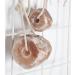 PFIFF 101744 Himalayan Salt Lick - 500g Mineral Stones (Set of 5) for Healthy Livestock - International Shipping Available - Buy Online on SooperMarket.com