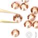 Yhmq 2160pcs Rhinestones & Nail Crystals - Champagne SS20 (4.6 & 4.8mm) for Glamorous Nail Art | International Shipping Available - Buy Online on SooperMarket.com