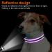 Joytale Reflective Dog Collar for Puppies - XS Purple | International Shipping Available - Buy Online on SooperMarket.com