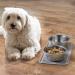 mDesign Small Square Pet Food and Water Bowl Mat - Waterproof Non-Slip Silicone Placemat for Dogs and Cats - Durable and Food Safe - Gray Linelle Collection - Buy Online on SooperMarket.com