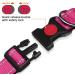 Taglory Soft Padded Neoprene Dog Collar for Small Dogs - Adjustable Reflective Training Collar in Hot Pink - 1 Pack - Buy Online on SooperMarket.com