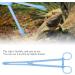 Reptile Feeding Clip Blue Plastic Durable Useful Pet Clip for Snake Lizard Reptile Animal Food 7.48in - Buy Online on SooperMarket.com