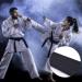 KRISMYA Black Karate Belt - 280 CM Solid Rank Martial Arts Belt for Taekwondo, Judo, and Karate - Buy Online on SooperMarket.com