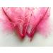50pcs Pink Rooster Coque Tail Feathers 13-16 Inches - Hat Costume & Craft Decoration - Buy Online on SooperMarket.com