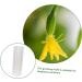 CIYODO 2pcs Vegetable Shaping Mold Cucumbers Cucumber Growing Mould Vegetable Growing Mold Accessories - Buy Online on SooperMarket.com