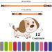 Buy Yorgewd 12 Pack Adjustable Puppy Neck Bands - Safety ID for Small Dogs & Cats - Multicolor (17-26cm) - Buy Online on SooperMarket.com