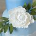 Global Sugar Art Premium Peony Sugar Cake Flower  White  Large  1 Count by Chef Alan Tetreault - Buy Online on SooperMarket.com