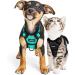Breakproof Cat Leash Set & Adjustable Soft Kitten Vest - Reflective Stripes Black XS - Perfect for Small Kittens - Buy Online on SooperMarket.com