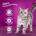 Whiskas 7+ Cat Food Poultry in Sauce - High-Quality Wet Food for Cats 7 Years & Older - 28 x 85g Portion Bags - Buy Online on SooperMarket.com