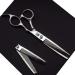 Purple Dragon 6.0 inch Sliver Salon Hair Thinning Scissors with Bag- Perfect for Professional Hairdresser (Double-sided Tooth)