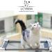 Lcybem Cat Window Hammock - Sturdy Suction Cups Window Perch for Cats - Holds Two Large Cats - 360 Sunbathe - Indoor Cat Window Seat - Buy Online on SooperMarket.com