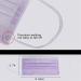 Adult Disposable Face Mask 3-Ply Mouth Cover Dust Safety Protection - Pack of 50 (Purple) - Buy Online on SooperMarket.com